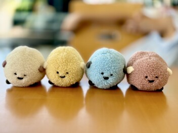 【ちまいる】って知ってますか？？